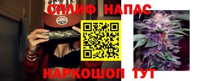 jwh Брянск