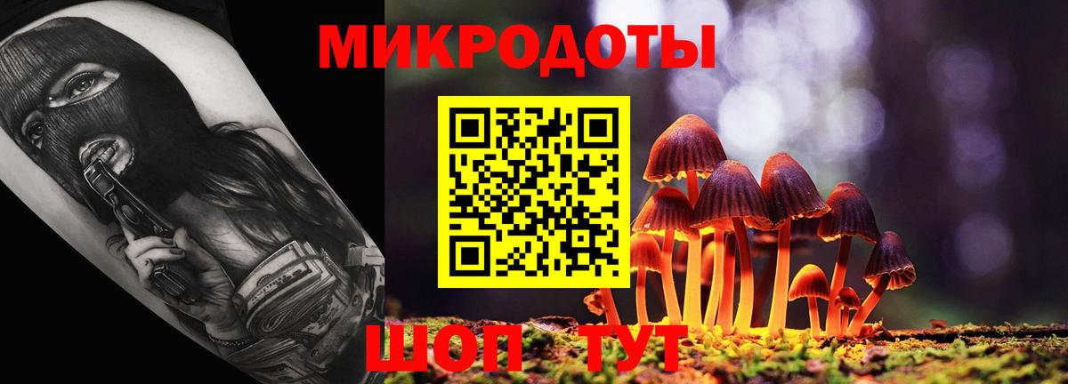 Псилоцибиновые грибы Psilocybe Домодедово